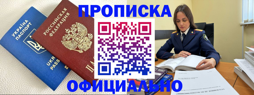 прописка поиск в Курчалом